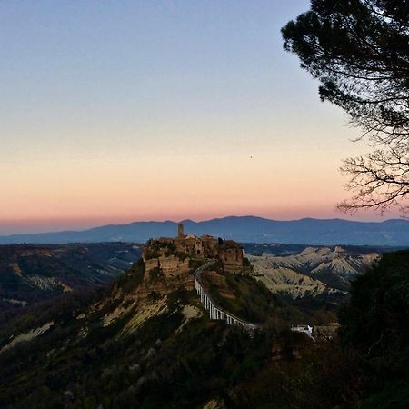 Podere Porcino Civitella dʼAgliano Exteriör bild