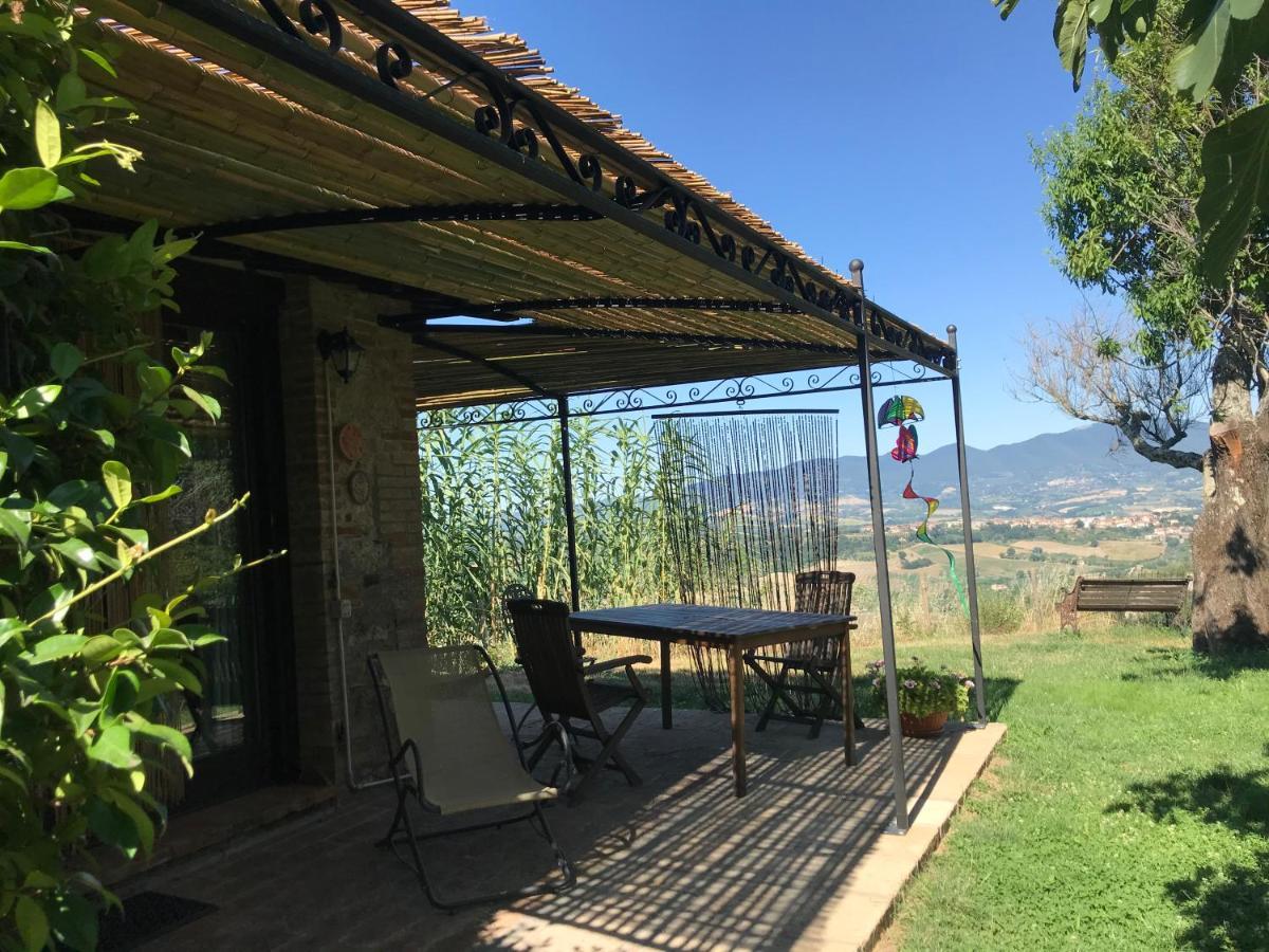 Podere Porcino Civitella dʼAgliano Exteriör bild