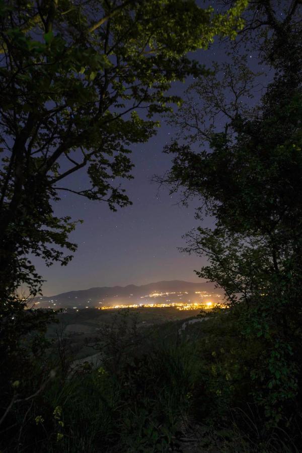 Podere Porcino Civitella dʼAgliano Exteriör bild