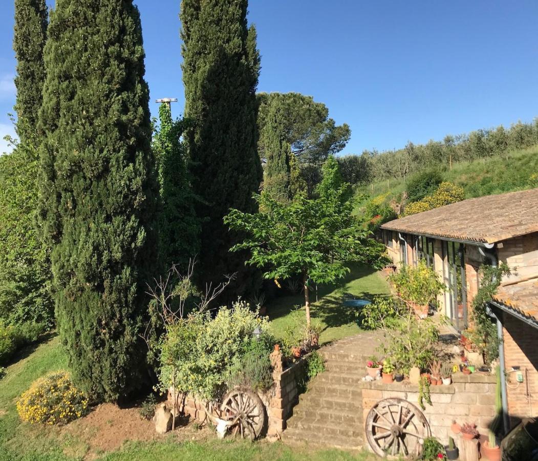 Podere Porcino Civitella dʼAgliano Exteriör bild