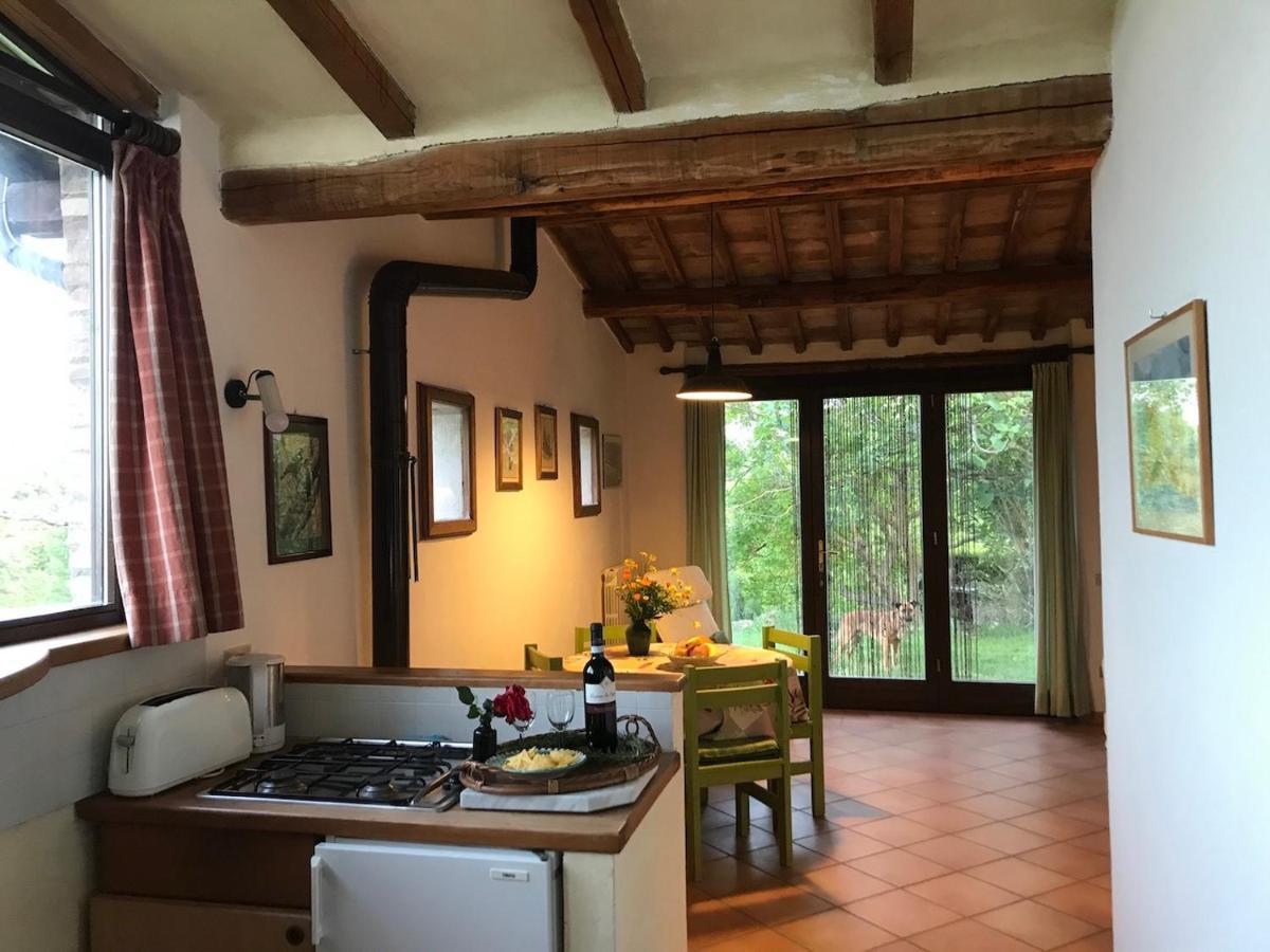 Podere Porcino Civitella dʼAgliano Exteriör bild