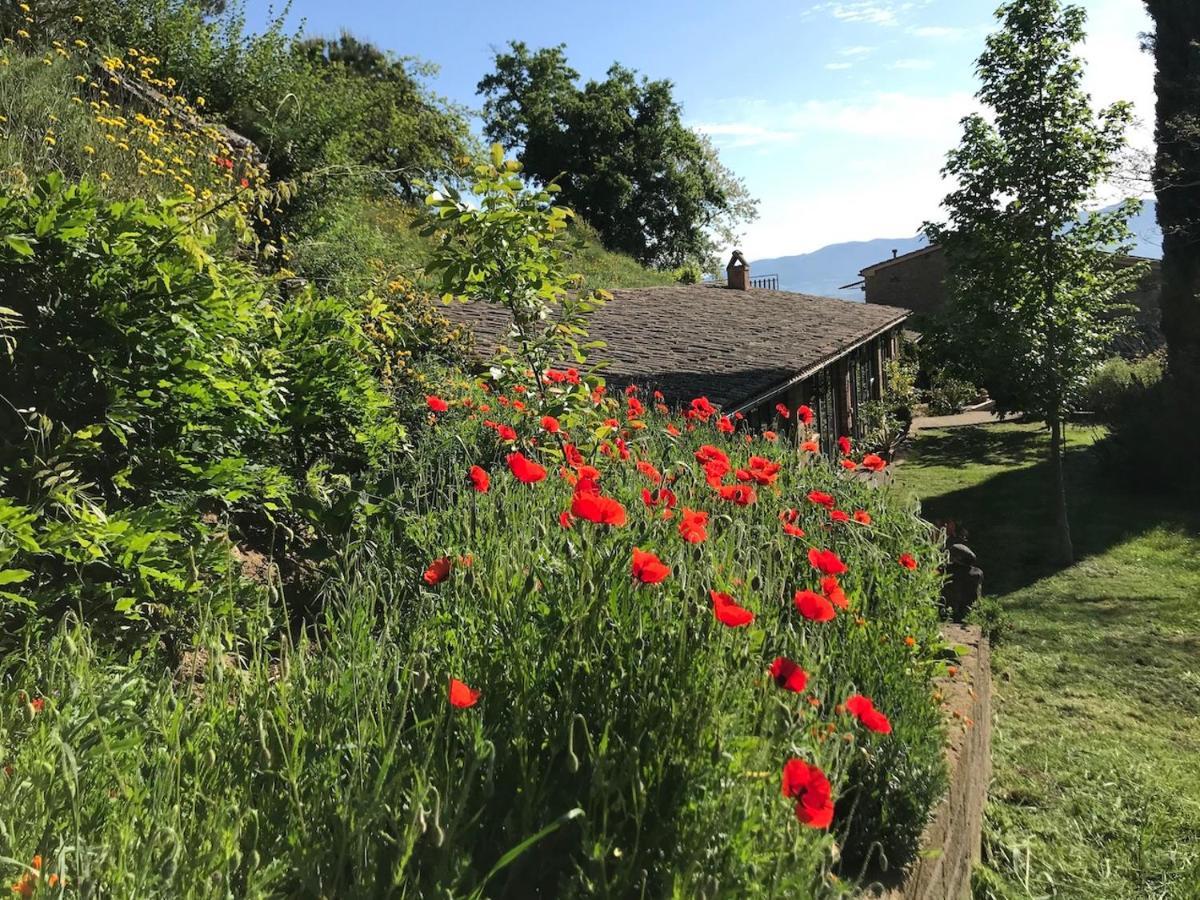 Podere Porcino Civitella dʼAgliano Exteriör bild