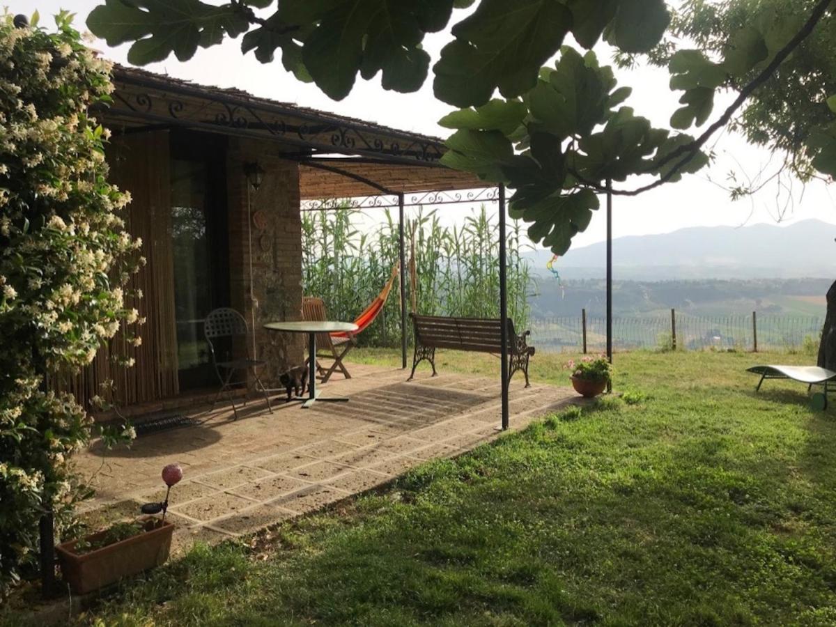 Podere Porcino Civitella dʼAgliano Exteriör bild