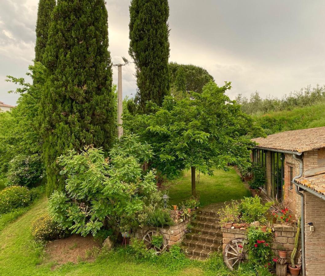 Podere Porcino Civitella dʼAgliano Exteriör bild