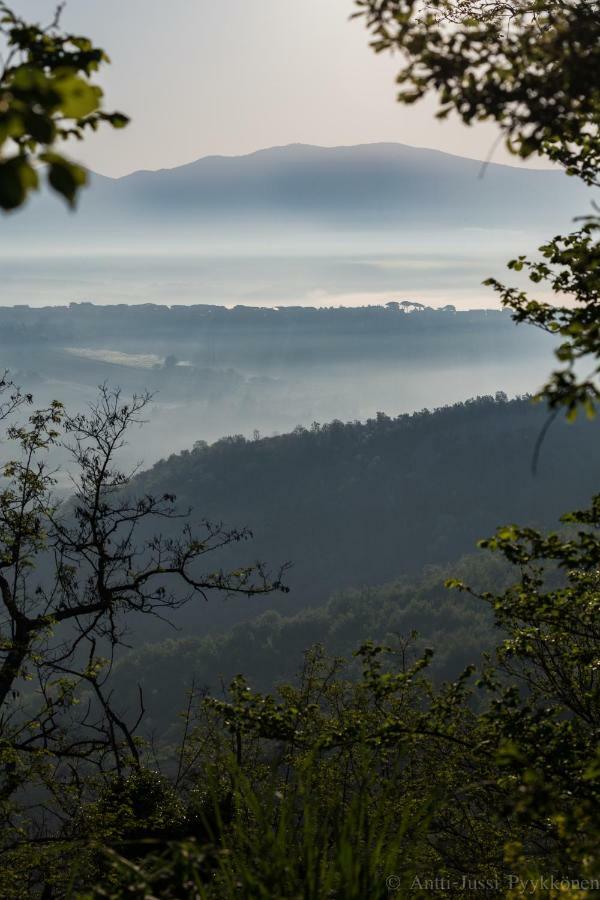 Podere Porcino Civitella dʼAgliano Exteriör bild