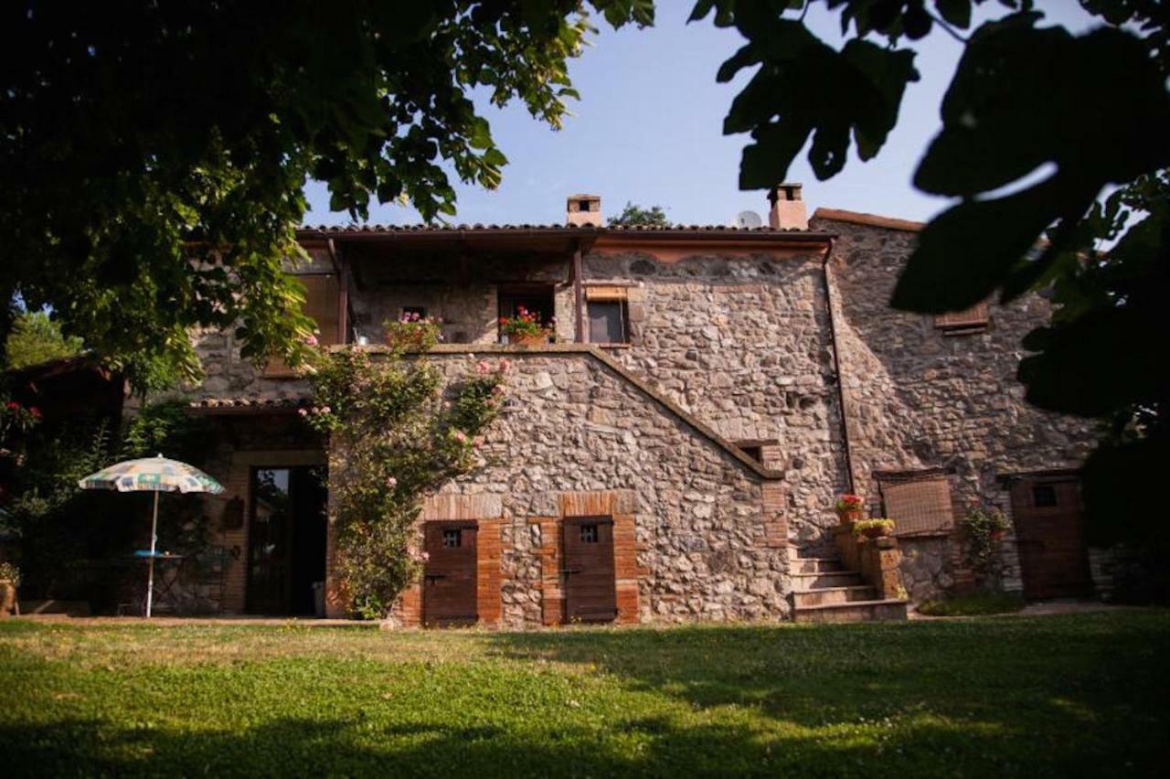 Podere Porcino Civitella dʼAgliano Exteriör bild