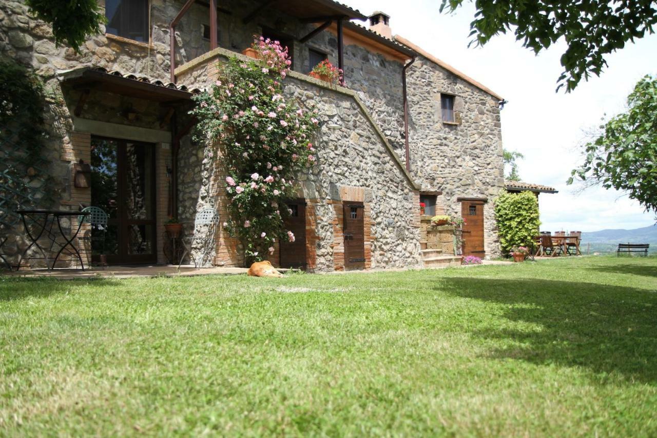 Podere Porcino Civitella dʼAgliano Exteriör bild