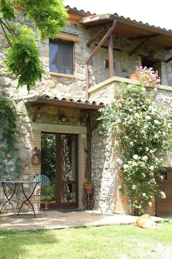 Podere Porcino Civitella dʼAgliano Exteriör bild