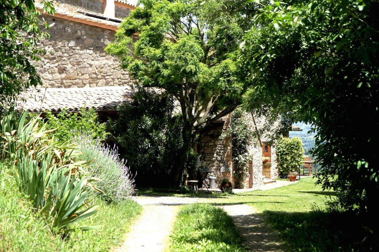 Podere Porcino Civitella dʼAgliano Exteriör bild