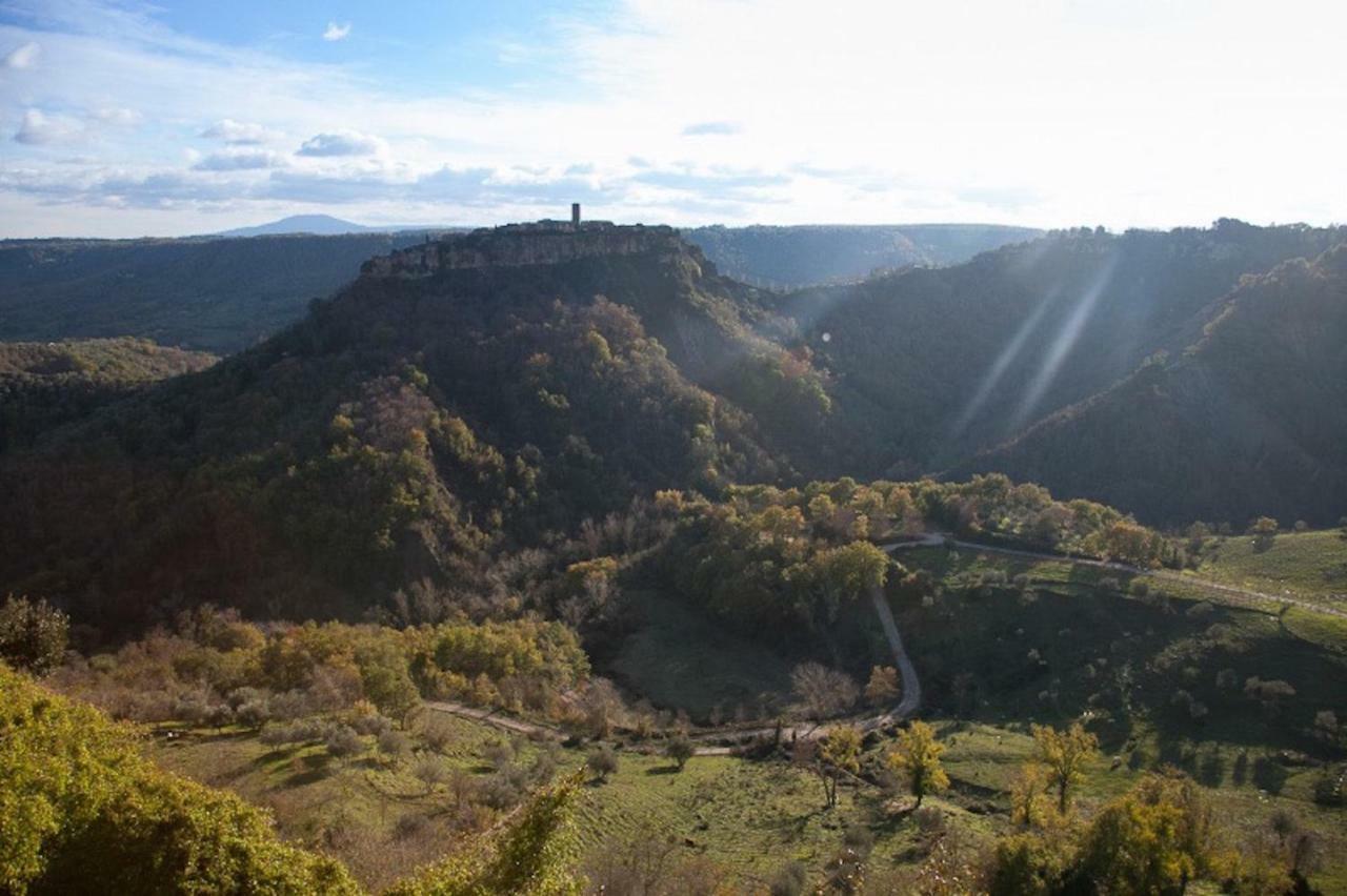 Podere Porcino Civitella dʼAgliano Exteriör bild