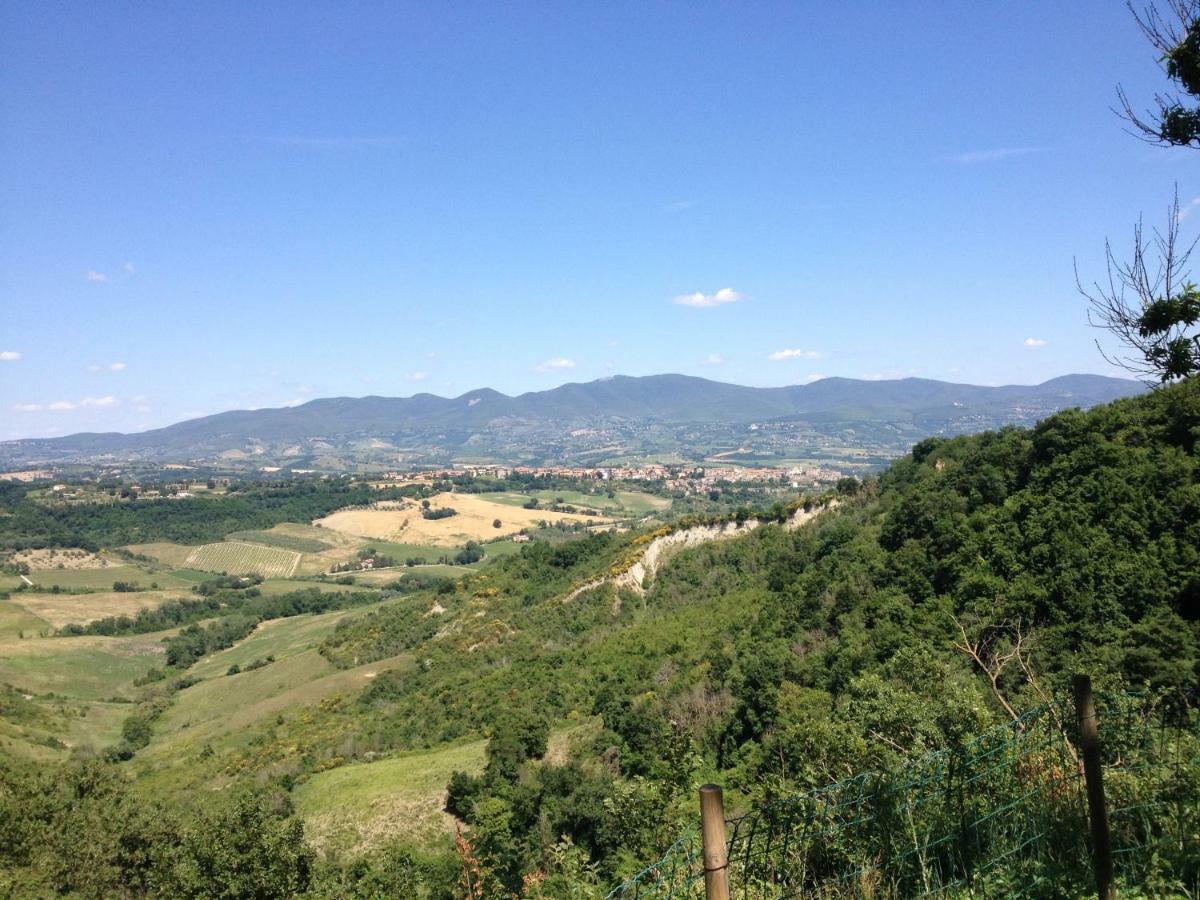 Podere Porcino Civitella dʼAgliano Exteriör bild