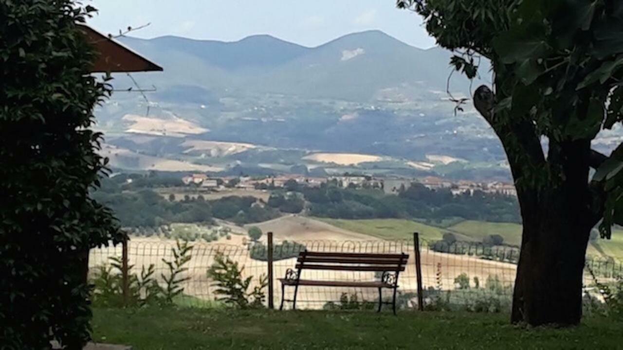 Podere Porcino Civitella dʼAgliano Exteriör bild