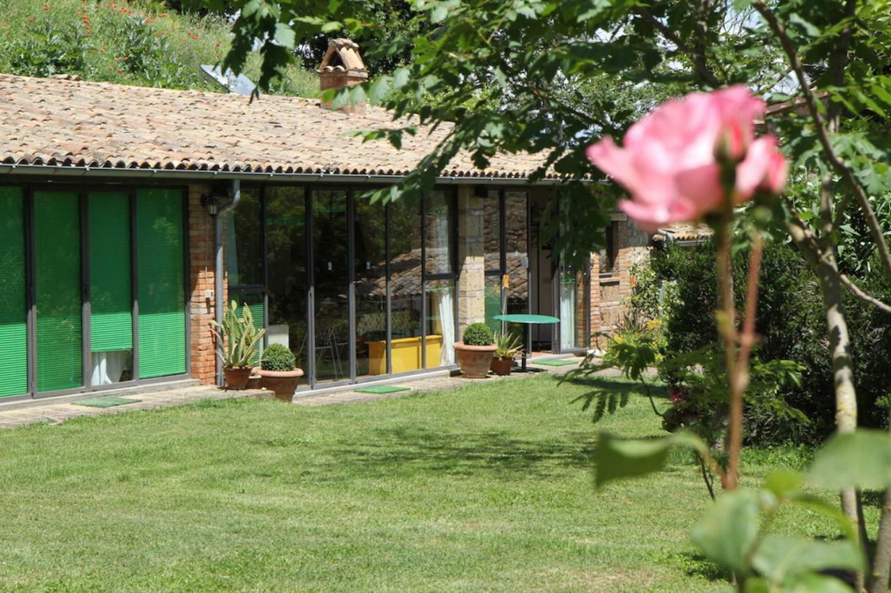 Podere Porcino Civitella dʼAgliano Exteriör bild
