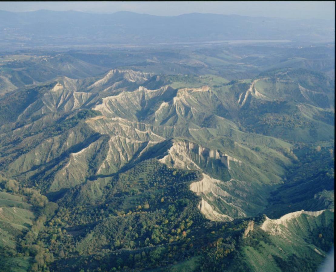 Podere Porcino Civitella dʼAgliano Exteriör bild