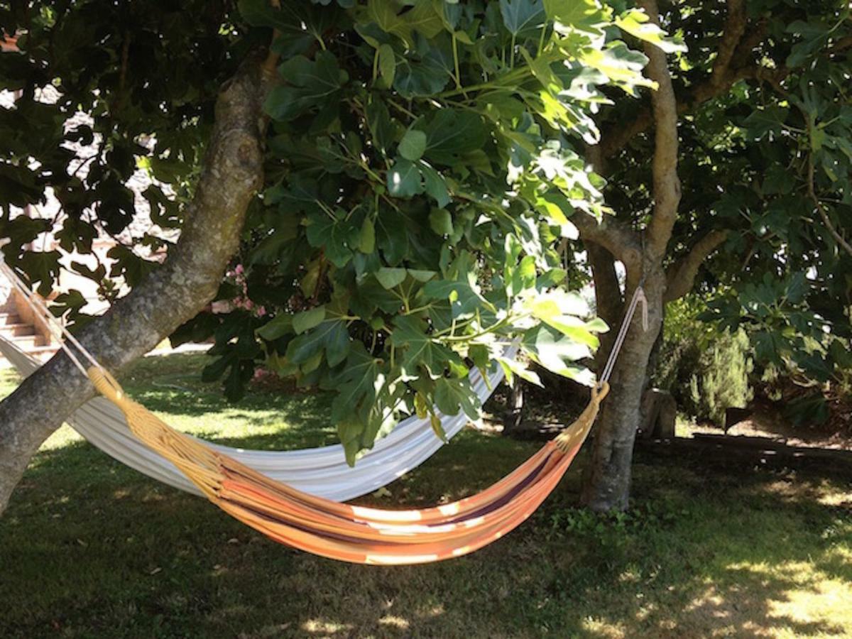 Podere Porcino Civitella dʼAgliano Exteriör bild