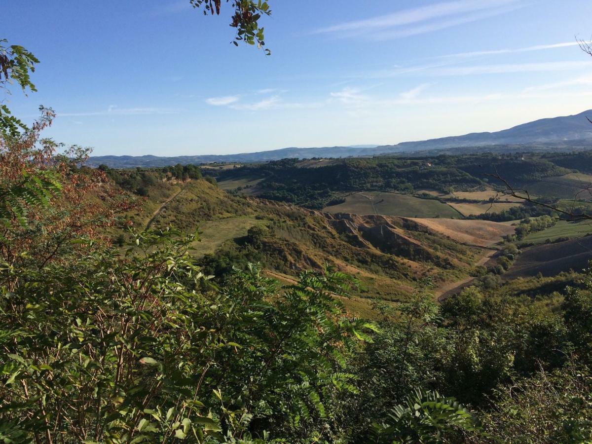 Podere Porcino Civitella dʼAgliano Exteriör bild