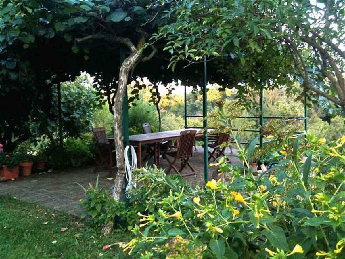 Podere Porcino Civitella dʼAgliano Exteriör bild