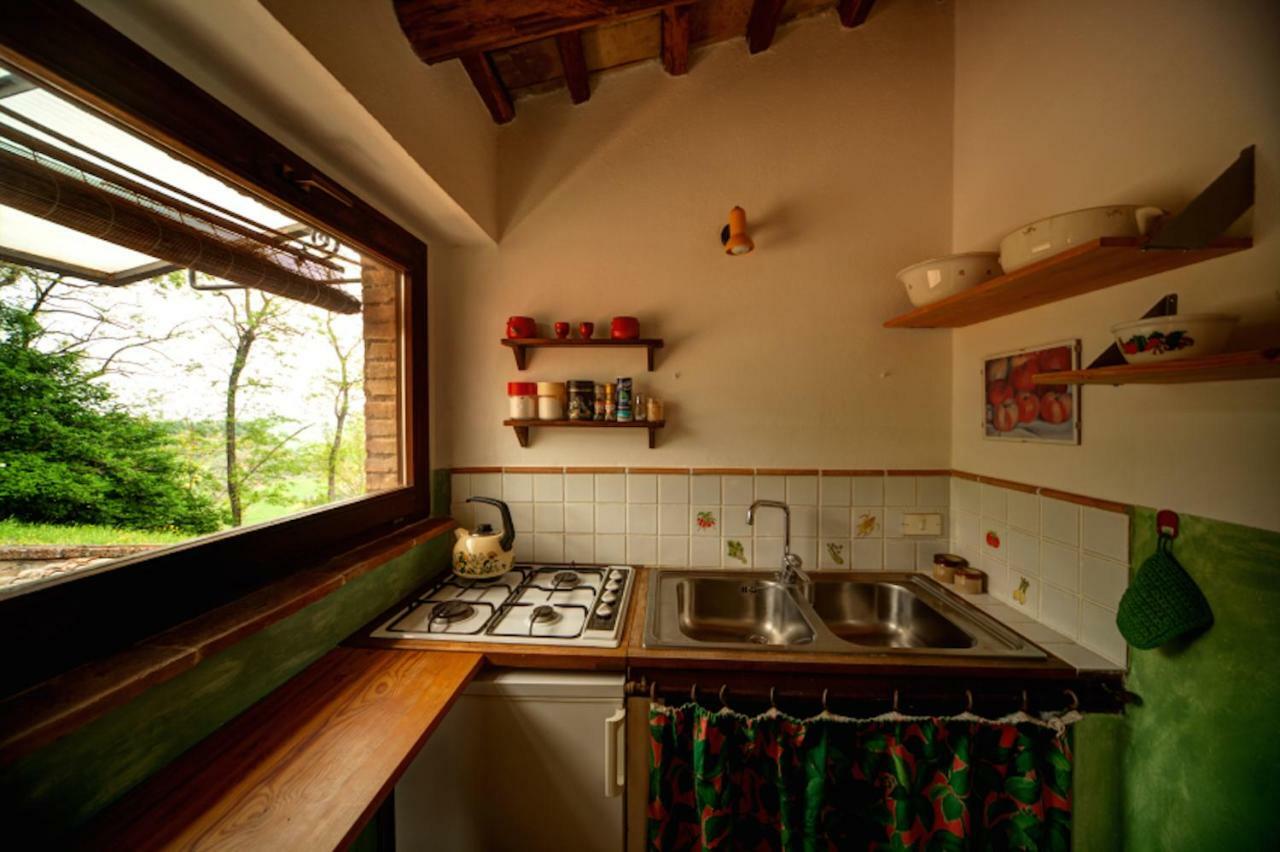 Podere Porcino Civitella dʼAgliano Exteriör bild